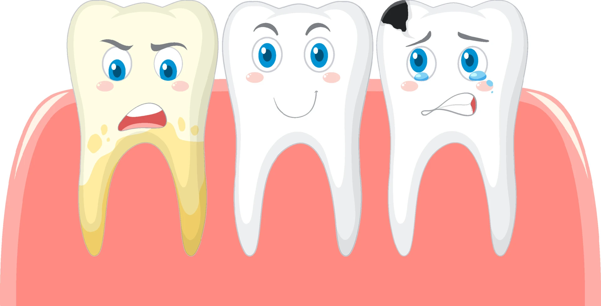 Tips for choosing the best dental insurance company