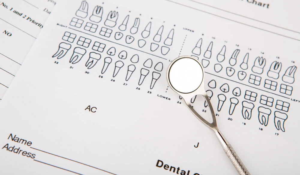 What are the different types of dental insurance plans?